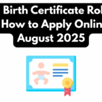 Digital Birth Certificate Rollout in India – How to Apply Online From August 2025