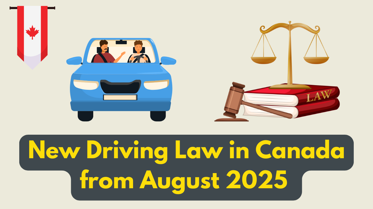 New Driving Law in Canada from August 2025 – What Every Motorist Must Know