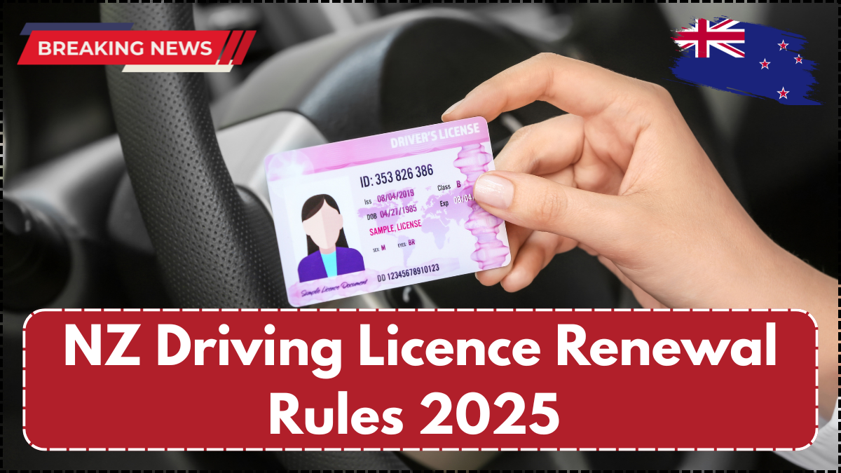NZ Driving Licence Renewal Rules 2025 – New Changes for Seniors Over 65